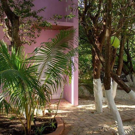 Casa Rosse Villa Tulum Luaran gambar